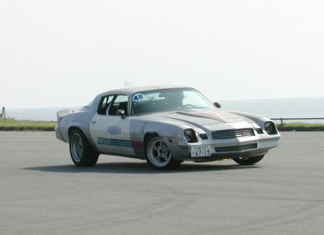 camaro_81_01.jpg (20520 oCg)